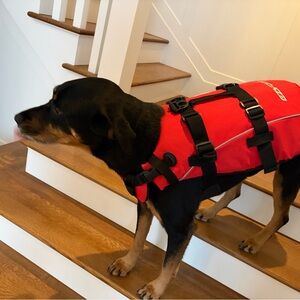 EZDOG LARGE DOG Life Jacket - like new